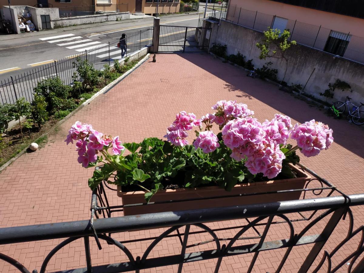 Appartamento Casa Marina Verbania Esterno foto
